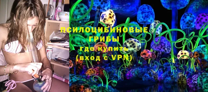 omg ссылки  Черемхово  Галлюциногенные грибы Magic Shrooms 